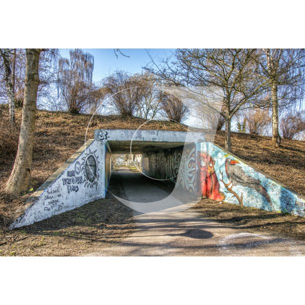 Gang tunnel under Skolegade i Svendborg