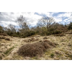 For�r i L�sten Bakker ved Randers