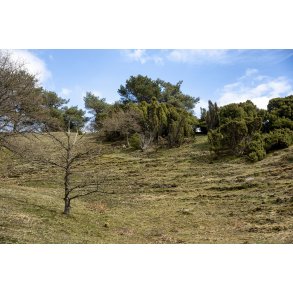 L�sten Bakker ved Randers