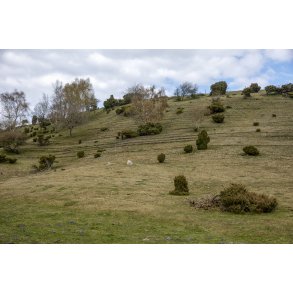 L�sten Bakker ved Randers