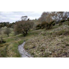 L�sten Bakker ved Randers