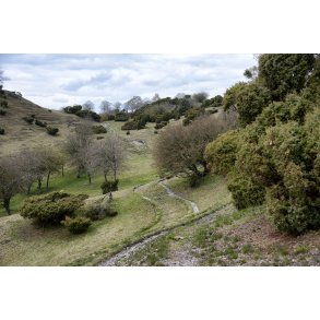 L�sten Bakker ved Randers