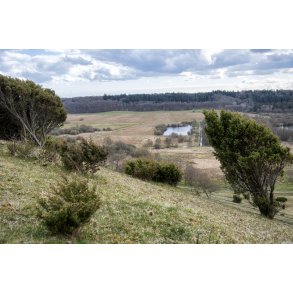 For�r i L�sten Bakker ved Randers