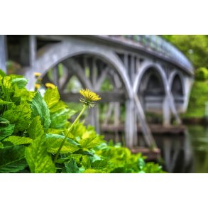 Amtmand Hoppes Bro ved Gudenen i Lang