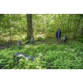 Langdysse fra Bondestenalderen i H�rret skov
