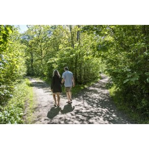 H�rret skov er et smukt naturomr�de med mange skovstier