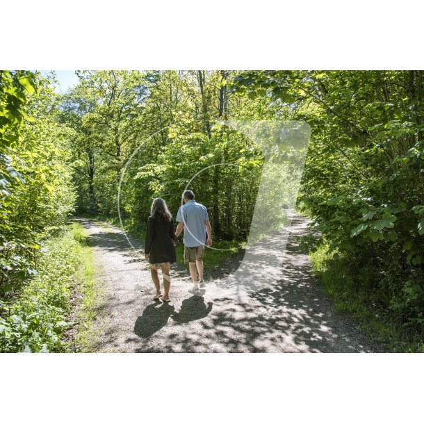 Hrret skov er et smukt naturomrde med mange skovstier