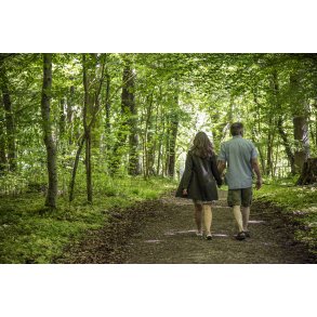 H�rret skov er et smukt sted til en vandretur