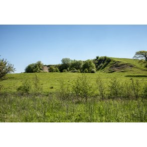 Bakkerne ved Langballe, set fra H�rret skov