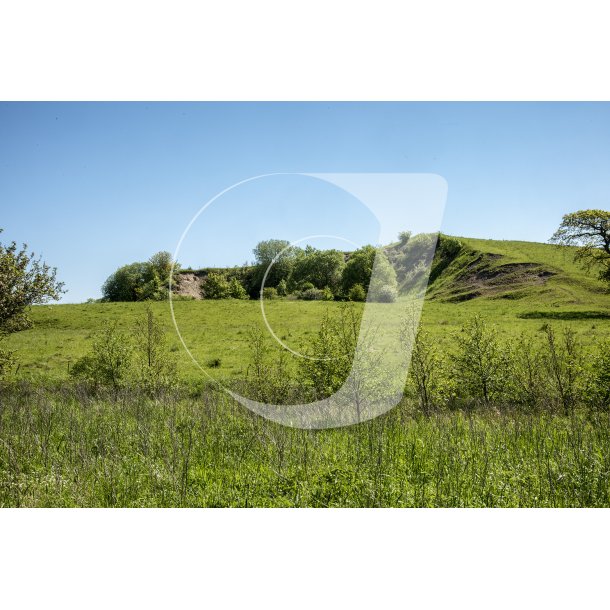 Bakkerne ved Langballe, set fra Hrret skov