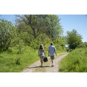 Hist hvor vejen sl�r en bugt i H�rret skov t�t p� Langballe