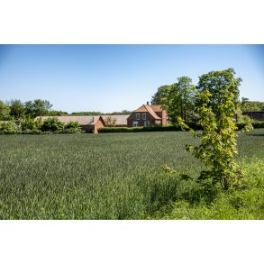 Langballe set fra H�rret skov