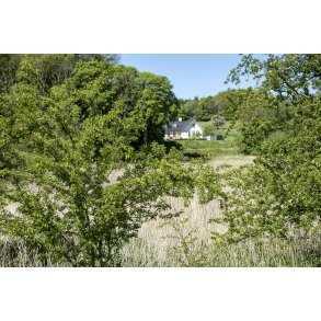 Mode og villa ved H�rret skov, t�t p� Langballe