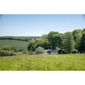 Det smukke landskab ved Langballe og H�rret skov