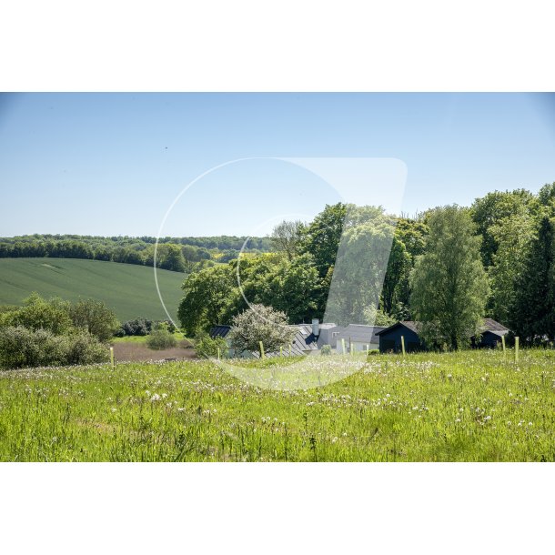 Det smukke landskab ved Langballe og Hrret skov