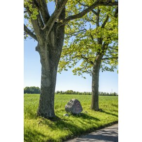 Mindesten fra Anden Verdenskrig, ved Ellemosevej t�t p� Tranbjerg