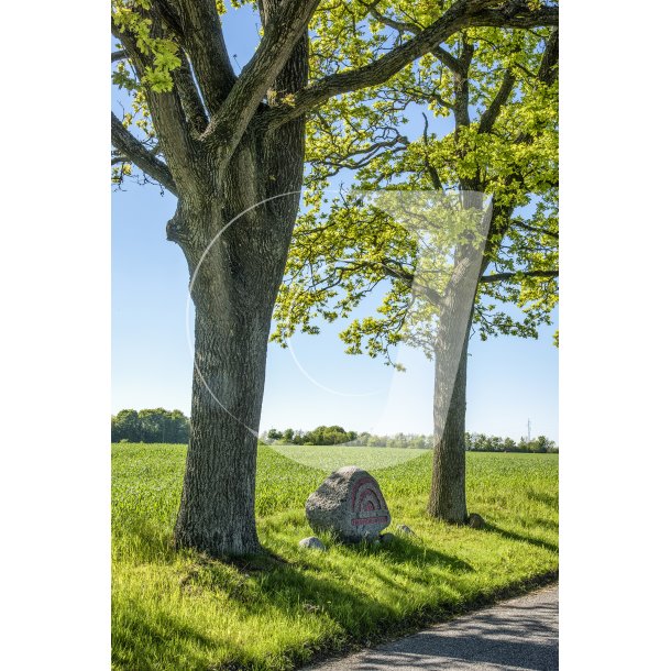 Mindesten fra Anden Verdenskrig, ved Ellemosevej tt p Tranbjerg