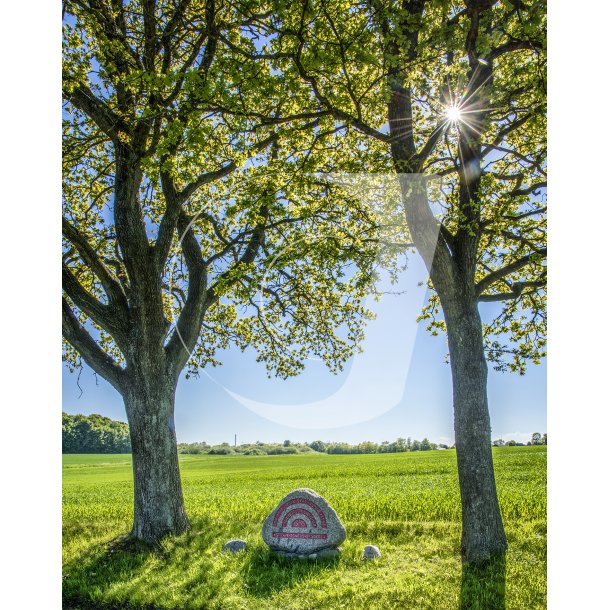 Mindesten fra Anden Verdenskrig, ved Ellemosevej tt p Tranbjerg