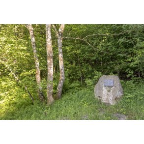 Grundlovsegen ved Busbjerg t�t p� Ulstrup