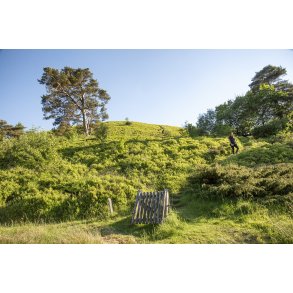 Busbjerg t�t p� Guden�en og Ulstrup