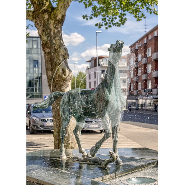 "Hest overfaldes af slange"