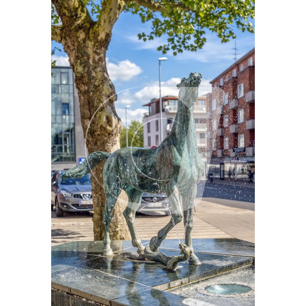 "Hest overfaldes af slange" p Vestergades Torv