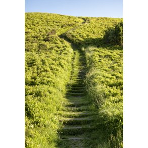 Trappen er lang mod toppen af Busbjerg t�t p� Guden�en og Ulstrup