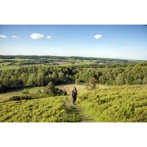 Turen er lang op p� toppen af Busbjerg, men udsigten over landskabet og Guden�en er fantastisk