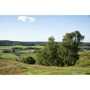 Udsigt over Guden� dalen, set fra Busbjerg