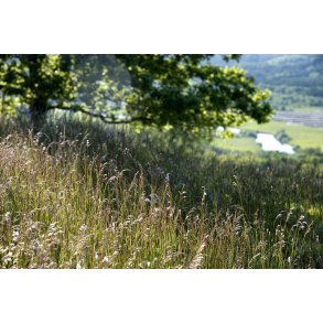 Udsigt fra toppen af Busbjerg, med Guden�en i baggrunden