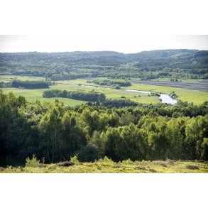 Udsigten er fantastisk fra Busbjerg og udover Guden�en og Guden� dalen