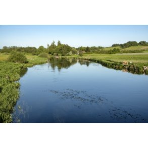 Udsigt fra Kjllinghl broen over Gudenen mellem Favrskov og Viborg komuner