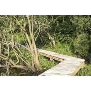 Tr�kstien langs Guden�en t�t p� Kj�llingh�l broen