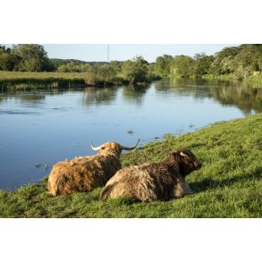 Skotsk H�jlandskv�g ved Guden�en t�t p� Kj�llingh�l broen