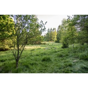 Mustard Point - Hvidstengruppen modtageplads under anden Verdenskrig