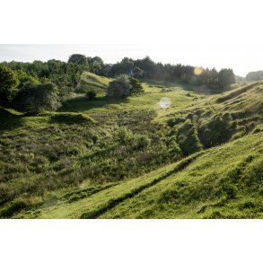 Sommer aften ved bakkerne mellem Dyrby og K�rby