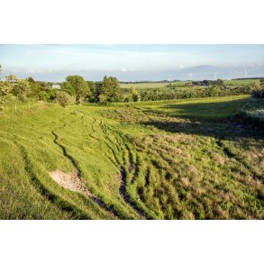 Sommeraften ved Kransmark b�k og med Ulvholmruten mod Kastbjerg � i baggrunden