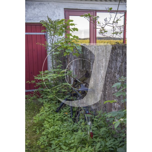 Landelig idyl i bakkerne ved Krby