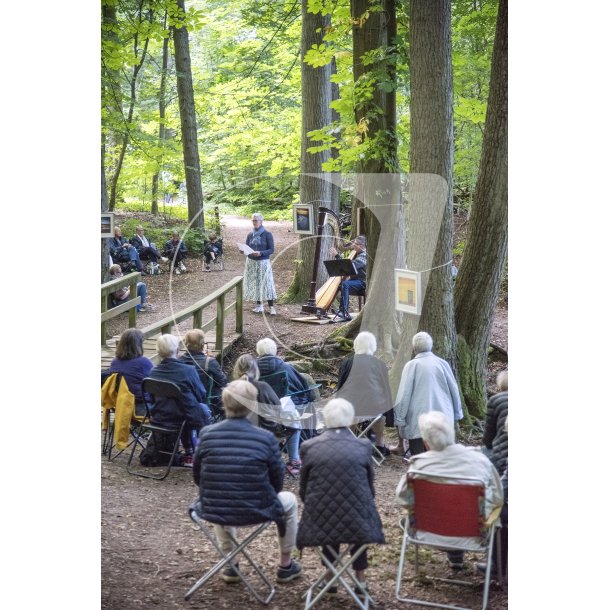 "Giber  Kulturdage" afholder koncert i Vilhelmsborg skovene ved Beder, syd for Aarhus