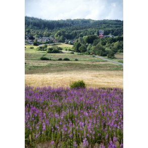 �lum og �lum kirke set fra 