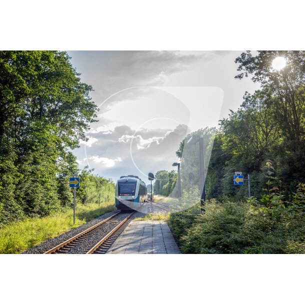 Arriva toget fra Struer mod Lang og Aarhus ankommer til Ulstrup trinbrt