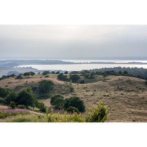 Aftenstemning over Mols, Begtrup Vig og Ebeltoft Vig, set fra Treh�je i Nationalpark Mols Bjerge