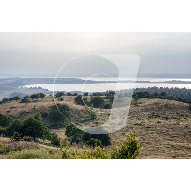 Aftenstemning over Mols, Begtrup Vig og Ebeltoft Vig, set fra Treh�je i Nationalpark Mols Bjerge