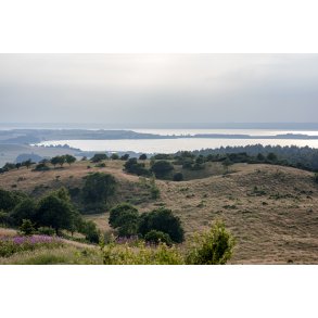 Aftenstemning over Mols, Begtrup Vig og Ebeltoft Vig, set fra Trehje i Nationalpark Mols Bjerge