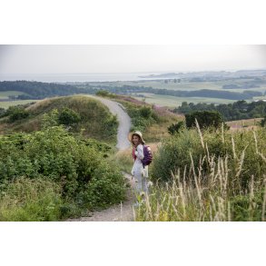 Maria Brinks Arianfar er p vandretur, p Trehje i Nationalpark Mols Bjerge