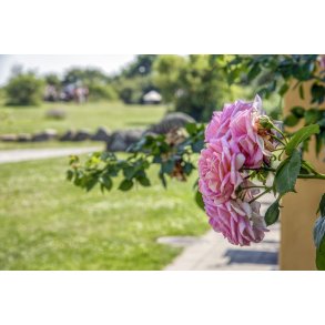 Karpenhj Naturcenter p Mols