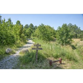 Skilt mod Tipi-glamping og fri teltplads ved Karpenhj Naturcenter p Mols