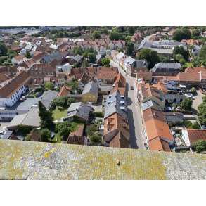 Borgert�rnet i Ribe Domkirke