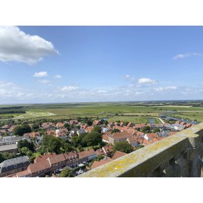 Borgert�rnet i Ribe Domkirke