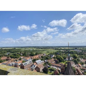 Borgert�rnet i Ribe Domkirke